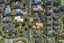22 Elderton Avenue, Pyes Pa, Tauranga - Carousel 15