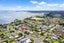 35 McLeod Road, Weymouth, Auckland - Carousel 17