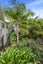 4A Kerikeri Grove, Kerikeri, Kerikeri - Carousel 30