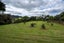 59 Waikare Road, Kawakawa, Kawakawa - Carousel 42