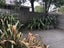 15A Angus Street, Sydenham, Christchurch - Carousel 14