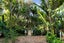 1203 Scenic Drive North, Swanson, Auckland - Carousel 6