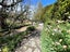 52 Cordelia Street, Stratford, Stratford - Carousel 19