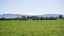 0 Kaikahu Road, Kerepehi, Paeroa - Carousel 5