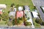 90 Swanson Road, Henderson, Auckland - Carousel 20