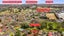 141 Motatau Road, Papatoetoe, Auckland - Carousel 20