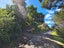498 Wyuna Bay Road, Wyuna Bay, Coromandel - Carousel 16