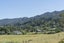 81 Greenhills Drive, Coromandel, Coromandel - Carousel 20