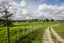220 Falls Road, Warkworth, Warkworth - Carousel 12