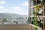 21 Washington Avenue, Brooklyn, Wellington - Carousel 18