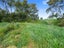 0 Wards Line, Morison Bush, Greytown - Carousel 5