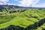 0 Kopikopiko Rd, Pahiatua - Carousel 19
