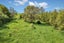 121 Taipuha Station Road, Taipuha, Paparoa - Carousel 36