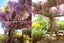 87 Mount Street, Nelson South, Nelson - Carousel 20