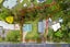 175 Greenhithe Road, Greenhithe, Auckland - Carousel 25
