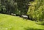 24 Tawhero Road, Bombay - Carousel 24