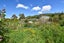 405 Waiohine Gorge Road, Dalefield - Carousel 30