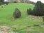 0 Tremain Road, Ruatangata West, Kamo - Carousel 17