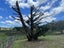 106 Nixon Road, Henderson - Carousel 16