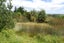 960A Oneriri Road, Kaiwaka, Kaiwaka - Carousel 5
