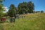 610 Three Mile Bush Road, Te Kamo, Whangarei - Carousel 16