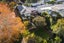 87 Ngapuhi Road, Remuera, Auckland - Carousel 19
