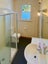 52 Majoribanks Street, Mount Victoria, Wellington - Carousel 9