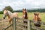 193 Kerrytown Road, Kerrytown - Carousel 3