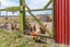 396 Kerrs Road, Christchurch - Carousel 28