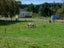 946 Whirinaki Valley Road, Rotorua - Carousel 6