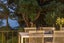 17 Peacock Street, Glendowie, Auckland - Carousel 3