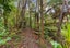 21 Frenz Drive, Titirangi, Auckland - Carousel 22
