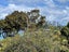 2/20 Ngapipi Road, Orakei, Auckland - Carousel 9