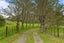90 Lone Kauri Road, Karekare, Auckland - Carousel 2