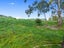 0 Wards Line, Morison Bush, Greytown - Carousel 7