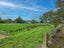 142 Vogel Street, Woodville, Woodville - Carousel 18