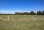 110 Glews Road, Cust, Rangiora - Carousel 20