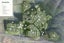 29 Makenu Crescent, Silverdale - Carousel 3