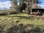 44 Riverbank Road, Inch Clutha, Kaitangata - Carousel 3