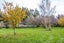 265 No 1 Line, Featherston - Carousel 46