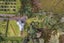 10A Bridgman Lane, Tanners Point, Katikati - Carousel 29