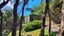 19 Edith Ridge Road, Kawau Island - Carousel 14
