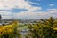 83 Mount Albert Road, Mount Albert, Auckland - Carousel 8