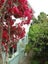 21 Baker Street, Russell, Russell - Carousel 4