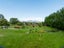 454 Riccarton Road West, North Taieri, Mosgiel - Carousel 34