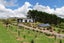169 Torehape Road West, Kaihere, Ngatea - Carousel 45