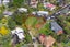 45D Endeavour Street, Blockhouse Bay, Auckland - Carousel 4