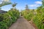 27 Wallace Road, Mangere Bridge, Auckland - Carousel 9