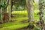 14 Woodland Road, Maungaturoto, Maungaturoto - Carousel 31