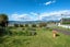 3A Arnold Street, Ngongotaha, Rotorua - Carousel 16